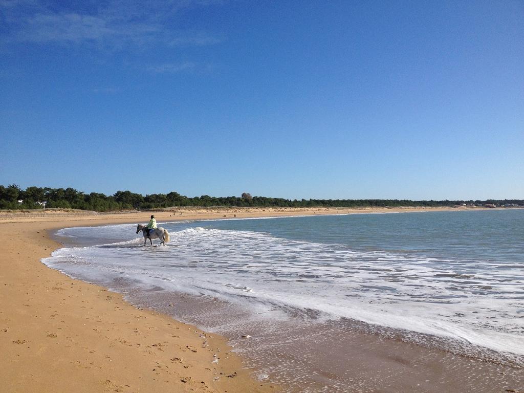 Appartement 43 M2 Front De Mer 3 Cles Vacances La Tranche-sur-Mer Rum bild